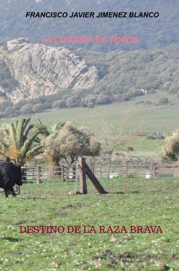 Afbeelding van LA CORRIDA DE TOROS