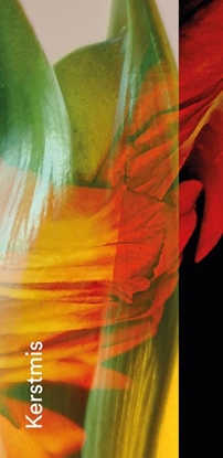 Afbeeldingen van Gebedskaart Kerstmis 2026 PAKKET 25 ex