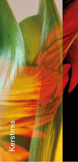 Afbeelding van Gebedskaart Kerstmis 2026 PAKKET 25 ex