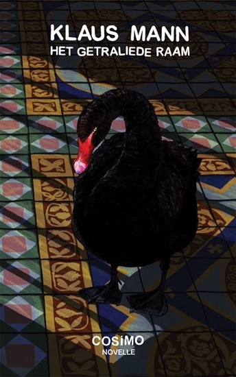 Afbeelding van Het getraliede raam