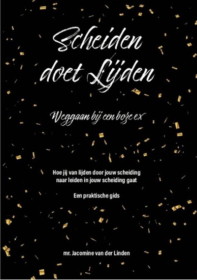 Afbeelding van Scheiden doet lijden