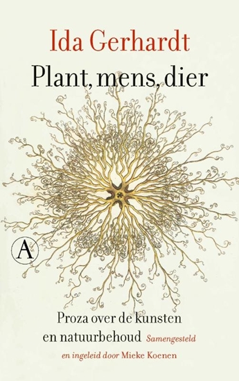Afbeelding van Plant, mens, dier