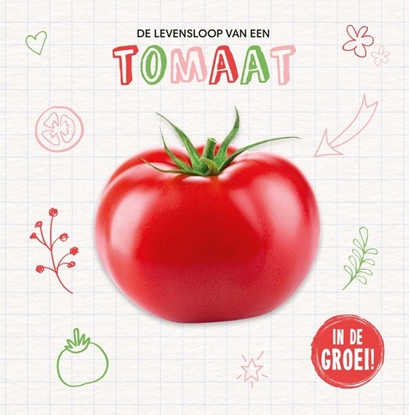 Afbeeldingen van De levensloop van een… Tomaat