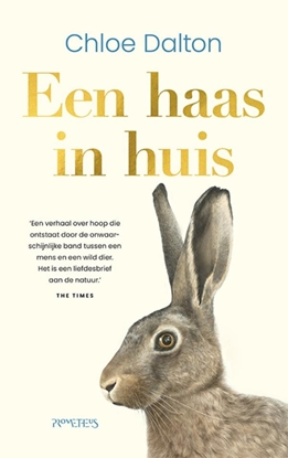 Afbeeldingen van Een haas in huis