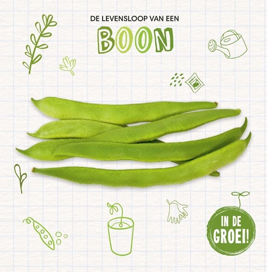 Afbeelding van De levensloop van een… Boon