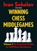 Afbeelding van Winning Chess Middlegames Volume 1 - 1.d4
