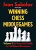 Afbeelding van Winning Chess Middlegames Volume 1 - 1.d4