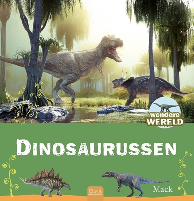 Afbeeldingen van Wondere wereld Dinosaurussen