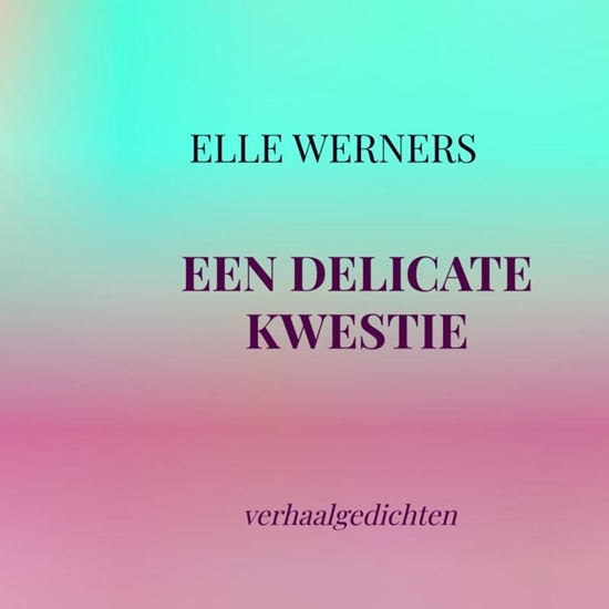 Afbeelding van EEN DELICATE KWESTIE
