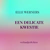 Afbeelding van EEN DELICATE KWESTIE