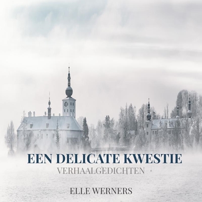 Afbeeldingen van EEN DELICATE KWESTIE