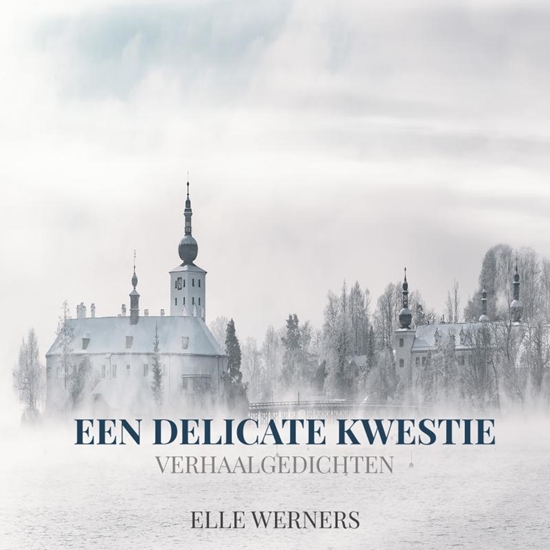 Afbeelding van EEN DELICATE KWESTIE