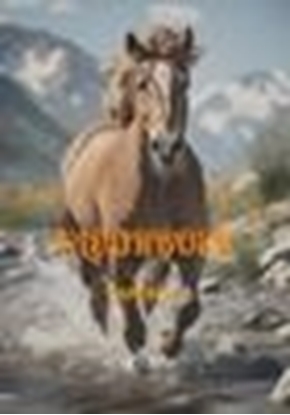 Afbeeldingen van Kleurboek, Paarden