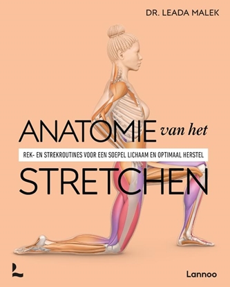 Afbeeldingen van Anatomie van sport Anatomie van het stretchen