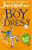 Afbeelding van The Boy in the Dress