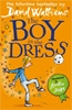 Afbeelding van The Boy in the Dress