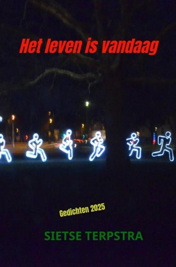 Afbeelding van Het leven is vandaag