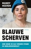 Afbeelding van Blauwe scherven