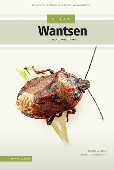 Afbeelding van Veldgids Wantsen