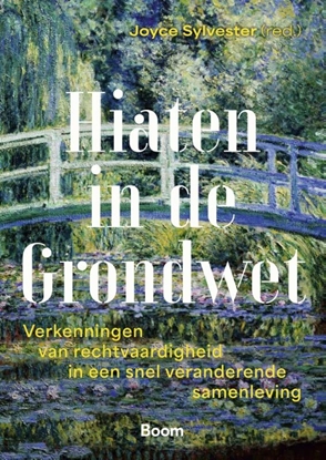 Afbeeldingen van Hiaten in de Grondwet