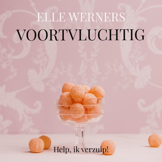 Afbeelding van VOORVLUCHTIG