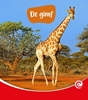 Afbeelding van De Kijkdoos De giraf
