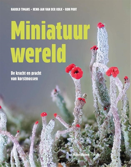 Afbeelding van Miniatuurwereld