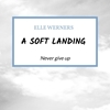 Afbeelding van A soft landing