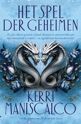 Afbeeldingen van Het spel der Geheimen