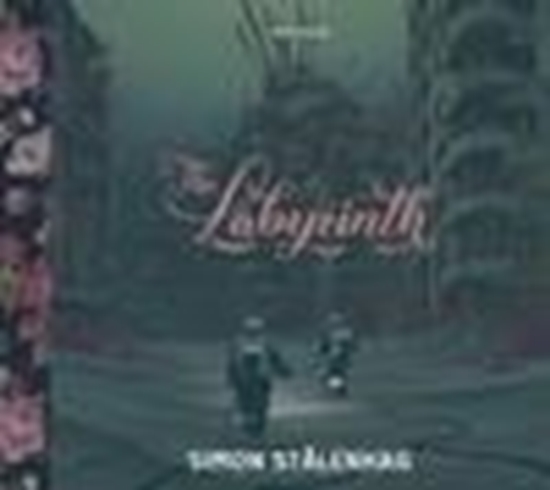 Afbeelding van The Labyrinth