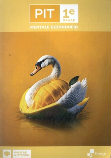 Afbeelding van PIT PIT 1e graad Mentale gezondheid