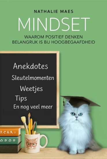 Afbeelding van Mindset