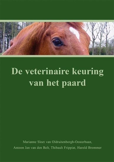 Afbeelding van De veterinaire keuring van het paard
