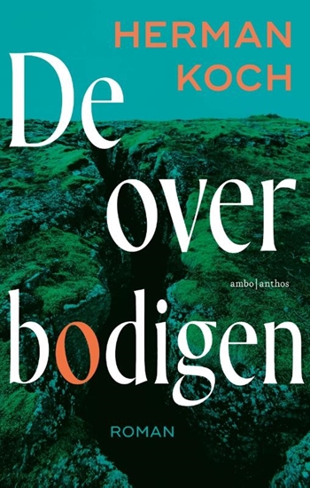 Afbeelding van De overbodigen