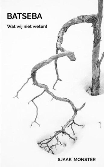 Afbeelding van Batseba