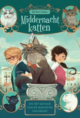 Afbeeldingen van 9789025888299