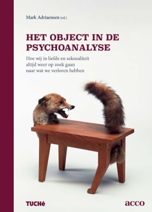 Afbeeldingen van Het object in de psychoanalyse