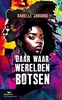 Afbeelding van Leeslicht Daar waar werelden botsen