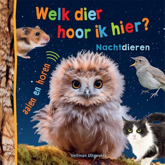 Afbeelding van Welk dier hoor ik hier? Nachtdieren