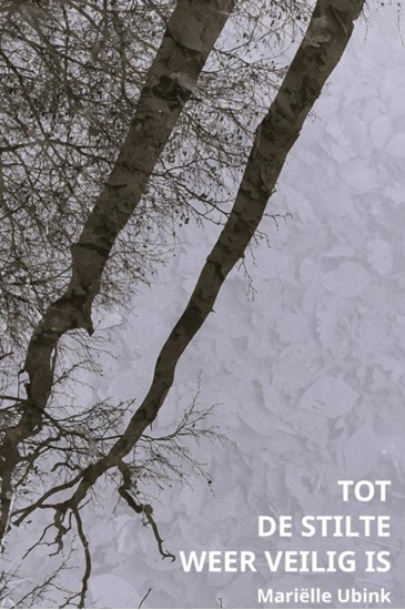 Afbeelding van Tot de stilte weer veilig is