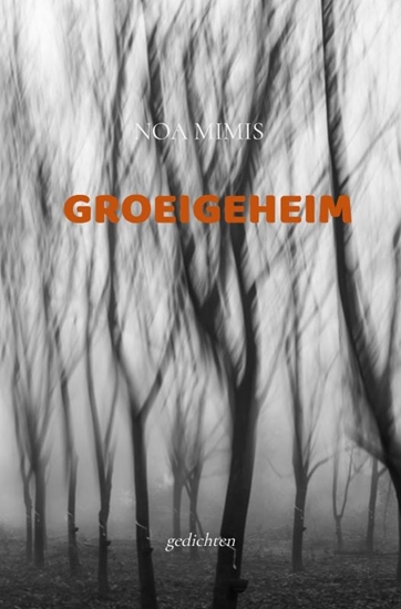 Afbeelding van GROEIGEHEIM