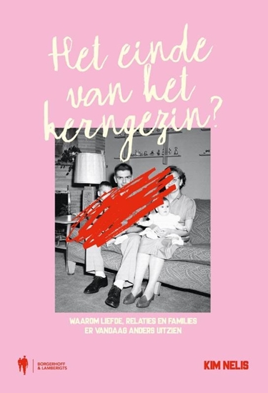 Afbeelding van Het einde van het kerngezin