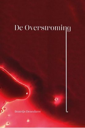 Afbeeldingen van De overstroming