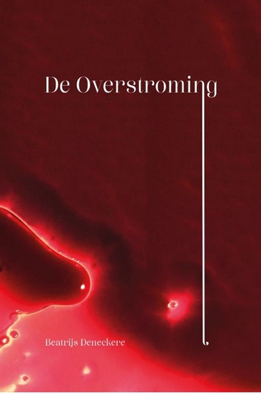 Afbeelding van De overstroming