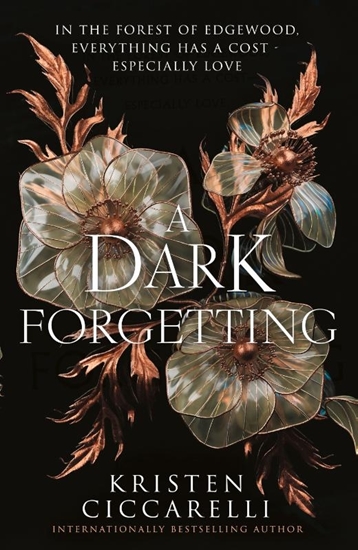 Afbeelding van A Dark Forgetting