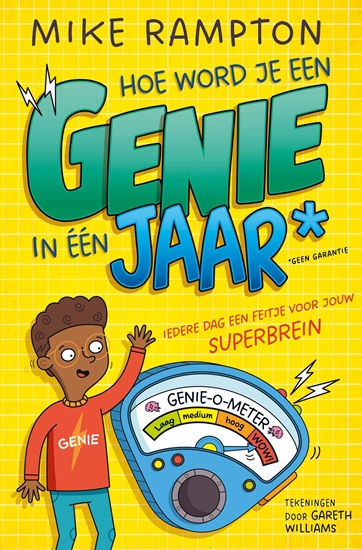 Afbeelding van Hoe word je een genie in één jaar