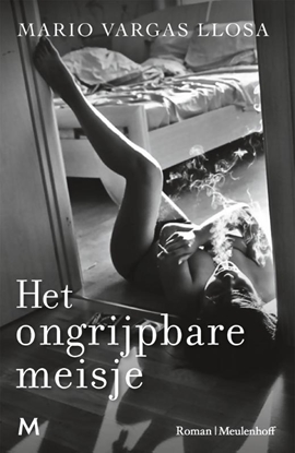 Afbeeldingen van Het ongrijpbare meisje