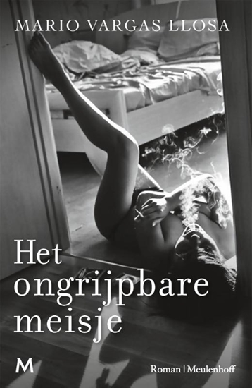 Afbeelding van Het ongrijpbare meisje