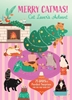 Afbeelding van Holiday Insight Editions: Merry Catmas! Cat Lover's Advent