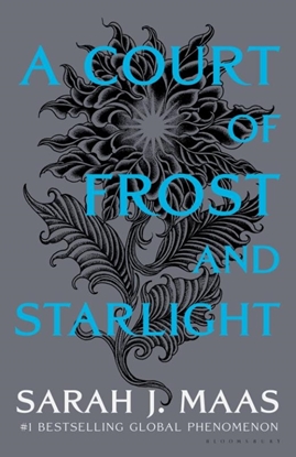 Afbeeldingen van A Court of Thorns and Roses A Court of Frost and Starlight